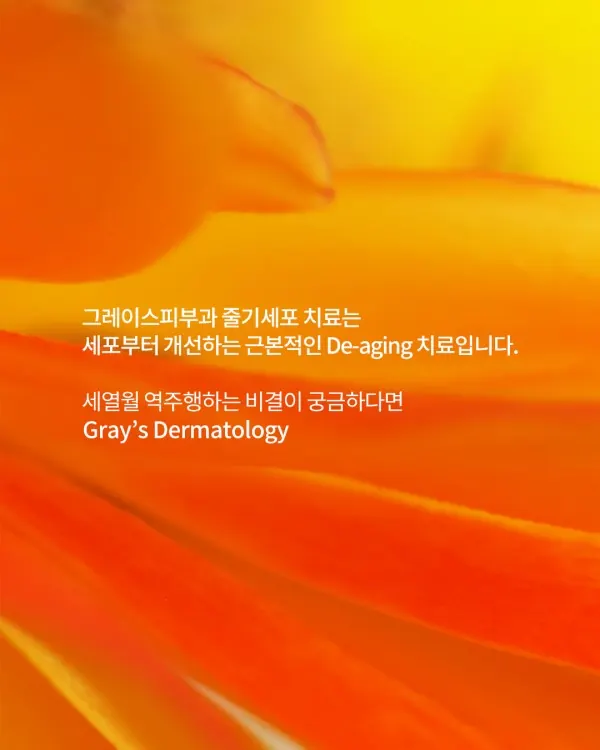 해외에서도 주목하는 한국 줄기세포 치료 — 이미지 5