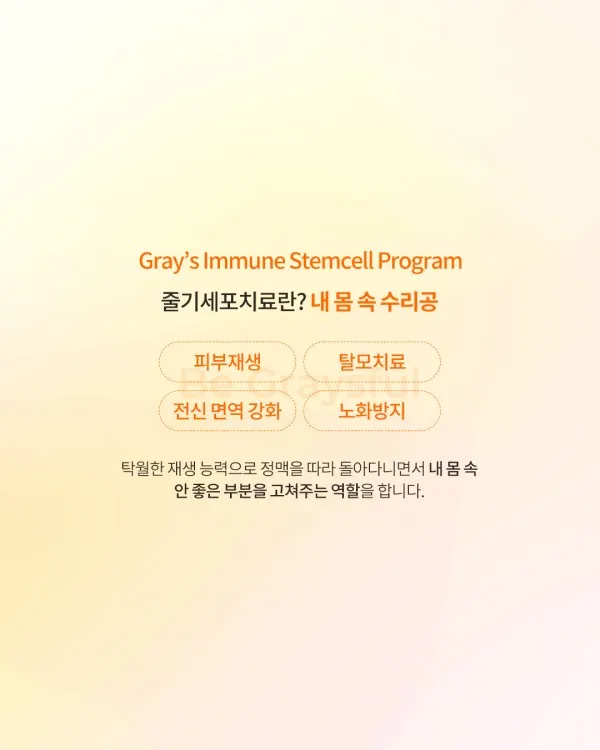 스스로 회복하는 면역력의 비밀 — 이미지 2
