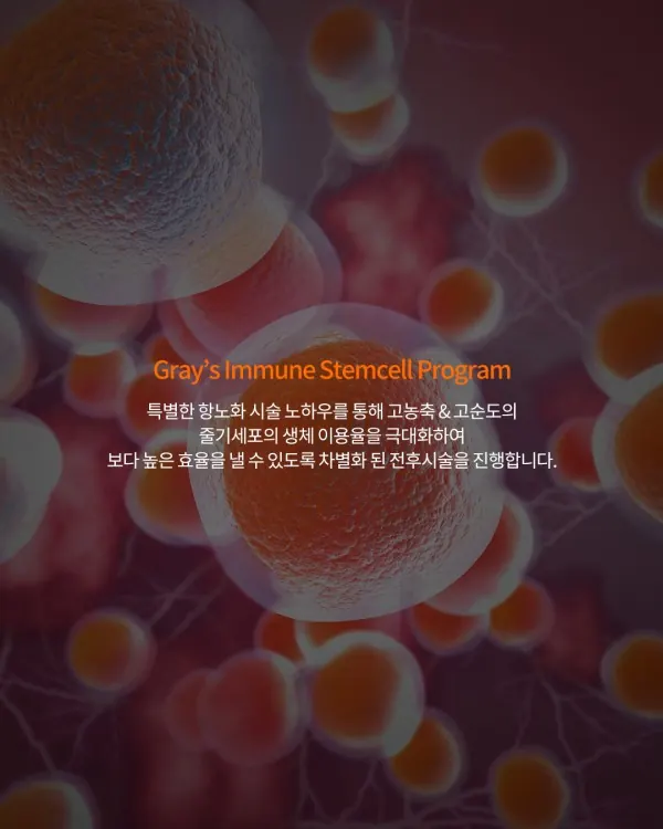스스로 회복하는 면역력의 비밀 — 이미지 3